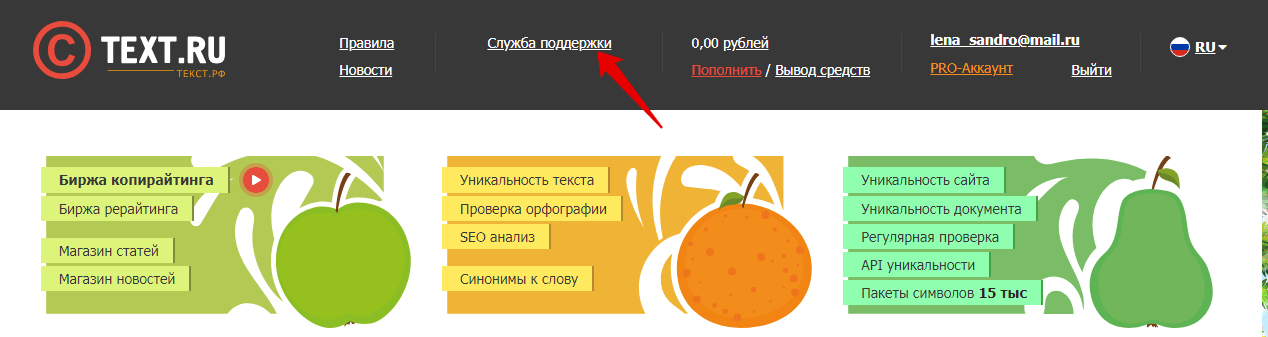 служба поддержки text.ru