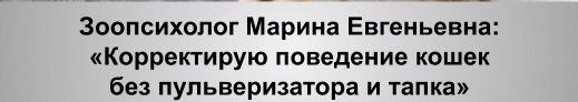 примеры статей для публикации